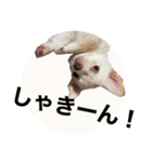 タカノさん家の7ちいたち(ぷらすあるふぁ)（個別スタンプ：11）