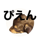 タカノさん家の7ちいたち(ぷらすあるふぁ)（個別スタンプ：12）