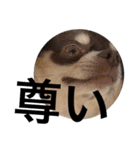 タカノさん家の7ちいたち(ぷらすあるふぁ)（個別スタンプ：19）