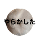 タカノさん家の7ちいたち(ぷらすあるふぁ)（個別スタンプ：29）
