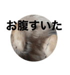 タカノさん家の7ちいたち(ぷらすあるふぁ)（個別スタンプ：30）