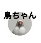 タカノさん家の7ちいたち(ぷらすあるふぁ)（個別スタンプ：33）