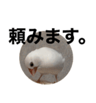 タカノさん家の7ちいたち(ぷらすあるふぁ)（個別スタンプ：34）