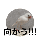 タカノさん家の7ちいたち(ぷらすあるふぁ)（個別スタンプ：35）