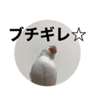 タカノさん家の7ちいたち(ぷらすあるふぁ)（個別スタンプ：36）