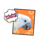 オウムのチョッパー2（個別スタンプ：11）