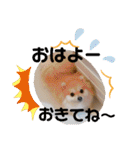 あんずこむぎたむだいちゃんのおはよー挨拶（個別スタンプ：22）