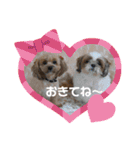 あんずこむぎたむだいちゃんのおはよー挨拶（個別スタンプ：26）