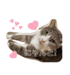 あんずこむぎたむだいちゃんのおはよー挨拶（個別スタンプ：32）
