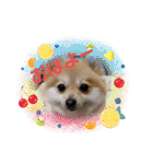 あんずこむぎたむだいちゃんのおはよー挨拶（個別スタンプ：39）