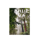 めっちゃ綺麗な自然（個別スタンプ：5）