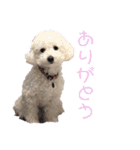 me♡mo（個別スタンプ：3）