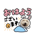 me♡mo（個別スタンプ：11）