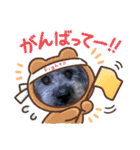 me♡mo（個別スタンプ：30）
