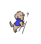 マルプーくぅと仲間たち（個別スタンプ：6）