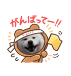 秋田犬 スタンプ 敬語（個別スタンプ：6）