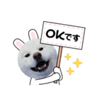 秋田犬 スタンプ 敬語（個別スタンプ：8）