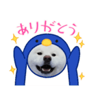 秋田犬 スタンプ 敬語（個別スタンプ：15）