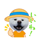 秋田犬 スタンプ 敬語（個別スタンプ：16）