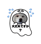 秋田犬 スタンプ 敬語（個別スタンプ：24）