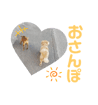 machin.（個別スタンプ：6）