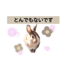 うさぎの若7（個別スタンプ：4）