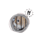 うさぎの若7（個別スタンプ：15）