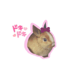うさぎの若7（個別スタンプ：18）