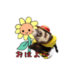 ふぇれすた。(夏.ver)（個別スタンプ：1）