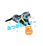 ふぇれすた。(夏.ver)（個別スタンプ：9）