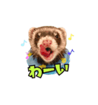 ふぇれすた。(夏.ver)（個別スタンプ：11）