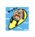 ふぇれすた。(夏.ver)（個別スタンプ：12）