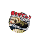 ふぇれすた。(夏.ver)（個別スタンプ：14）