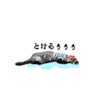 ふぇれすた。(夏.ver)（個別スタンプ：16）