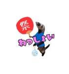 ふぇれすた。(夏.ver)（個別スタンプ：20）