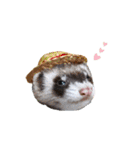 ふぇれすた。(夏.ver)（個別スタンプ：26）