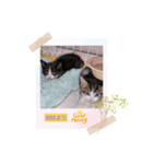 ウララりん（個別スタンプ：1）