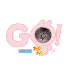 ウララりん（個別スタンプ：3）