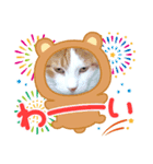 ウララりん（個別スタンプ：7）