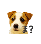 つぶの日。スタンプ第1弾（個別スタンプ：3）