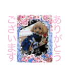 Tiara ＆ Abel（個別スタンプ：8）