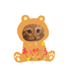 毎日やる気のうちの子猫3兄弟（個別スタンプ：7）