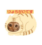毎日やる気のうちの子猫3兄弟（個別スタンプ：25）