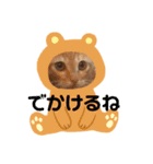 毎日やる気のうちの子猫3兄弟（個別スタンプ：26）