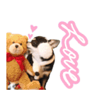 Dandy's Family（個別スタンプ：5）