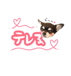 Dandy's Family（個別スタンプ：7）