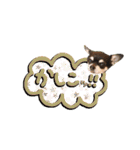 Dandy's Family（個別スタンプ：11）