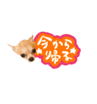 Dandy's Family（個別スタンプ：22）