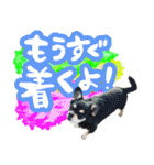 Dandy's Family（個別スタンプ：23）