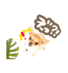 Dandy's Family（個別スタンプ：36）